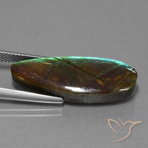 Ammolite Multicolore naturelle Fantaisie, 14.36 ct, Opaque