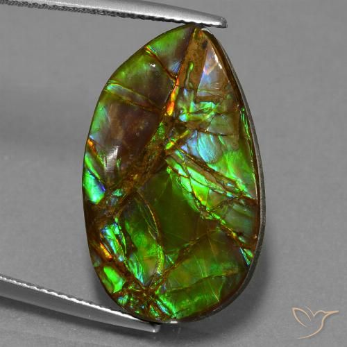 Ammolite Multicolore naturelle Fantaisie, 18.19 ct, Opaque