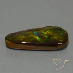 Ammolite Multicolore naturelle Fantaisie, 21.09 ct, Opaque