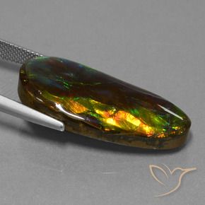 Ammolite Multicolore naturelle Fantaisie, 21.09 ct, Opaque