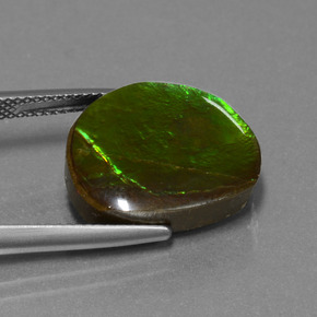 Ammolite Multicolore naturelle Forme fantaisie, 10.58 ct, Opaque