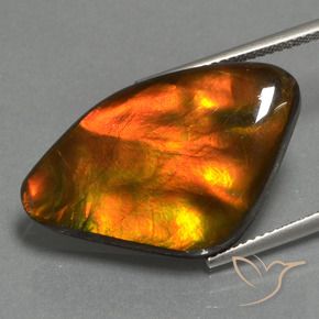 Ammolite Multicolore naturelle Fantaisie, 17.24 ct, Opaque