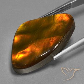 Ammolite Multicolore naturelle Fantaisie, 17.24 ct, Opaque