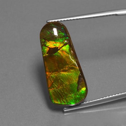 Ammolite multicolore naturelle forme fantaisie, 11,73 ct, opaque