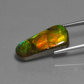 Ammolite multicolore naturelle forme fantaisie, 11,73 ct, opaque