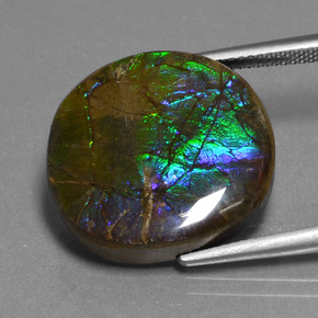Ammolite multicolore naturelle coupe ovale, 16,73 ct, opaque