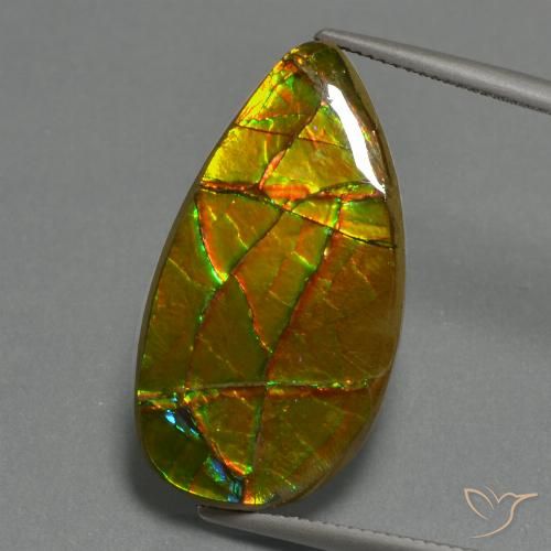 Ammolite multicolore naturelle forme fantaisie, 19,40 ct, opaque