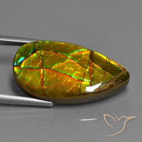 Ammolite multicolore naturelle forme fantaisie, 19,40 ct, opaque
