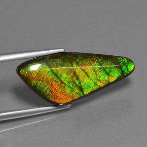 Ammolite multicolore naturelle forme fantaisie, 15,14 ct, opaque