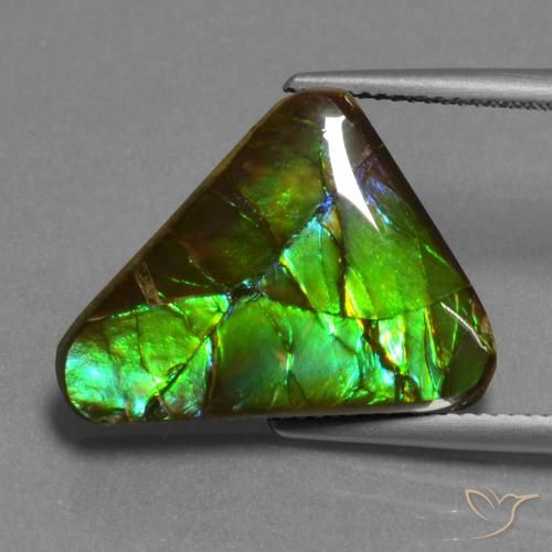 Ammolite Multicolore naturelle Trillion, 11.30 ct, Opaque