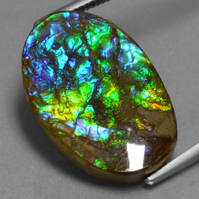 Ammolite Multicolore naturelle Coupe ovale, 15.25 ct, Opaque