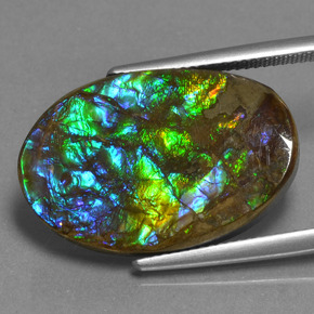 Ammolite Multicolore naturelle Coupe ovale, 15.25 ct, Opaque