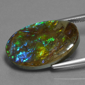 Ammolite Multicolore naturelle Coupe ovale, 15.25 ct, Opaque