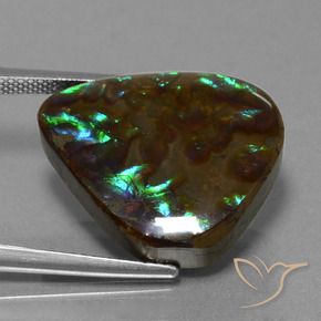 Ammolite Multicolore naturelle En forme de poire, 16.77 ct, Opaque