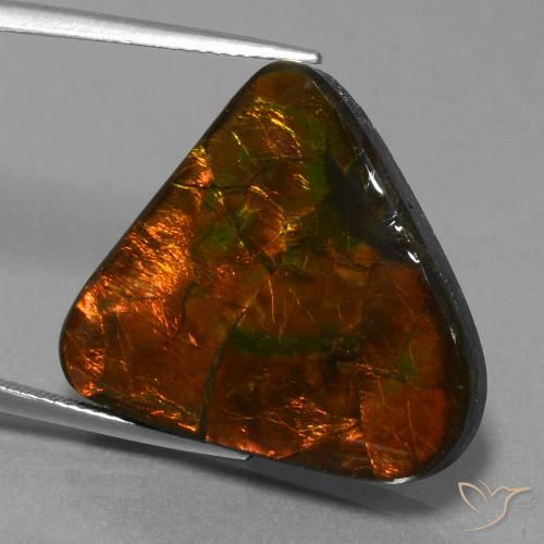 Ammolite Multicolore naturelle Trillion, 22.44 ct, Opaque