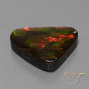 Ammolite Multicolore naturelle Trillion, 22.44 ct, Opaque