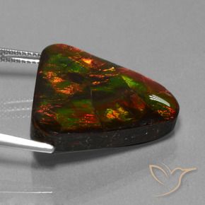 Ammolite Multicolore naturelle Trillion, 22.44 ct, Opaque