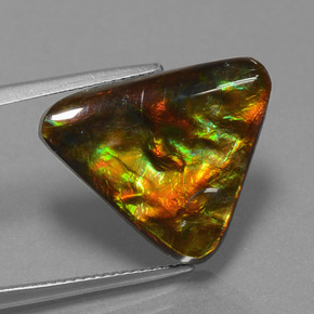 Ammolite multicolore naturelle trillion, 11,38 ct, opaque