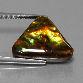 Ammolite multicolore naturelle trillion, 11,38 ct, opaque