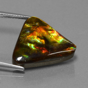 Ammolite multicolore naturelle trillion, 11,38 ct, opaque