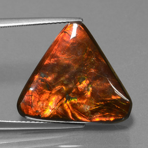 Ammolite multicolore naturelle trillion, 14,28 ct, opaque