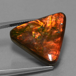 Ammolite multicolore naturelle trillion, 14,28 ct, opaque