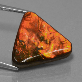 Ammolite multicolore naturelle trillion, 14,28 ct, opaque