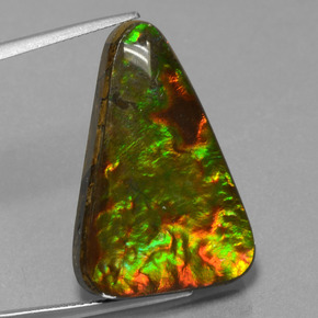 Ammolite multicolore naturelle trillion, 20,75 ct, opaque
