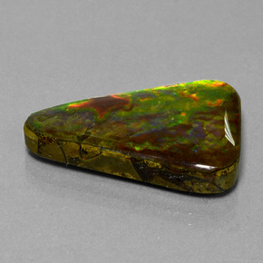 Ammolite multicolore naturelle trillion, 20,75 ct, opaque