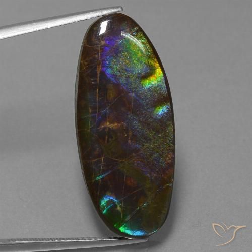 22.01ct Naturel Multicolore Ammolite, ovale, Opaque