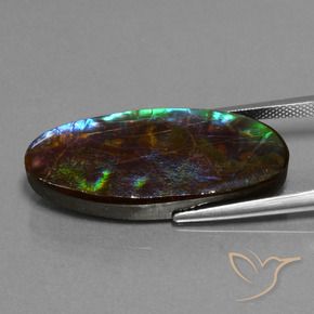 Ammolite Multicolore naturelle ovale, 22.01 ct, Opaque