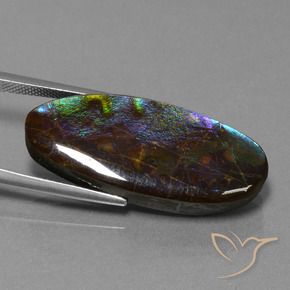 Ammolite Multicolore naturelle ovale, 22.01 ct, Opaque