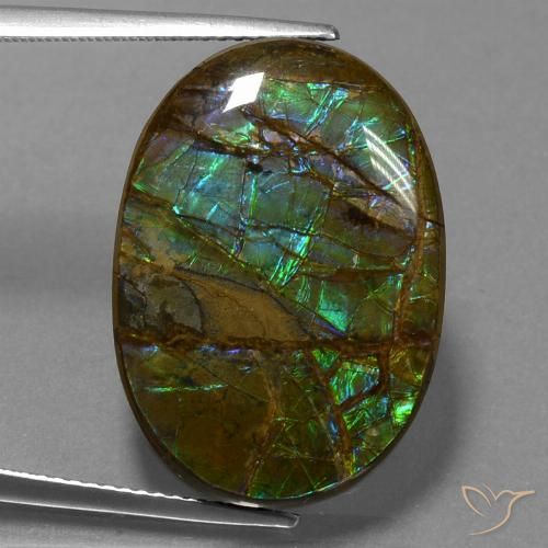 Ammolite Multicolore naturelle ovale, 18.60 ct, Opaque