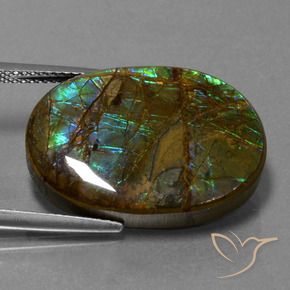 Ammolite Multicolore naturelle ovale, 18.60 ct, Opaque