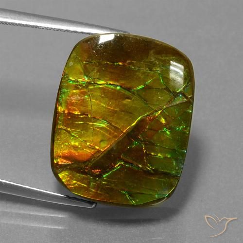 14.83ct Naturel Multicolore Ammolite, Coussin, Opaque