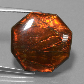 Ammolite multicolore naturelle taille émeraude, 19,17 ct, opaque