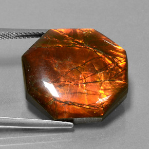 Ammolite multicolore naturelle taille émeraude, 19,17 ct, opaque