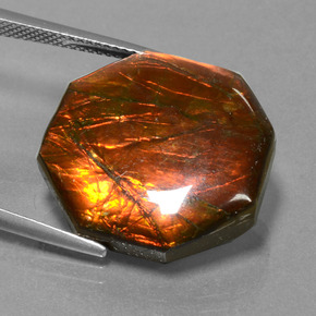 Ammolite multicolore naturelle taille émeraude, 19,17 ct, opaque