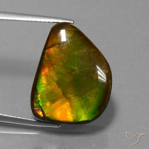 Ammolite Multicolore naturelle Fantaisie, 13.25 ct, Opaque