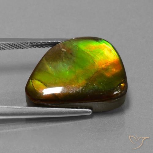 Ammolite Multicolore naturelle Fantaisie, 13.25 ct, Opaque