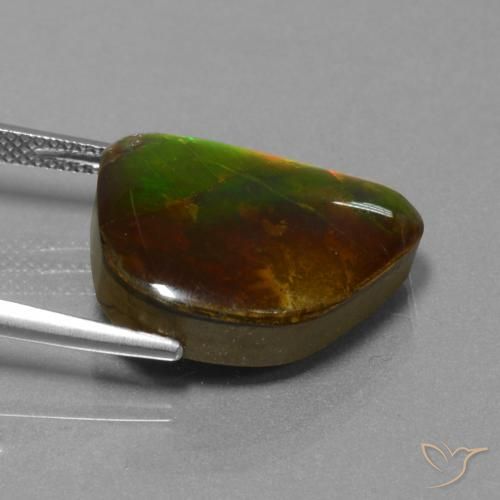 Ammolite Multicolore naturelle Fantaisie, 13.25 ct, Opaque