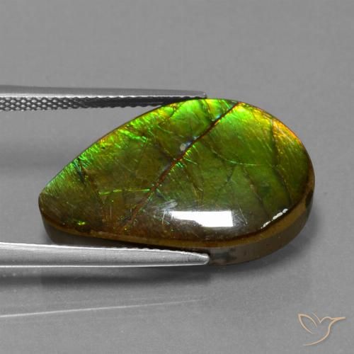 Ammolite Multicolore naturelle Fantaisie, 13.12 ct, Opaque