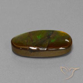 Ammolite Multicolore naturelle Fantaisie, 15.26 ct, Opaque