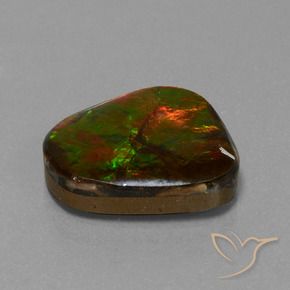 Ammolite Multicolore naturelle Fantaisie, 14.52 ct, Opaque