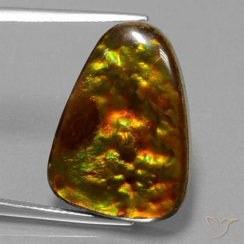 15.67ct Naturel Multicolore Ammolite, Trillion, Opaque
