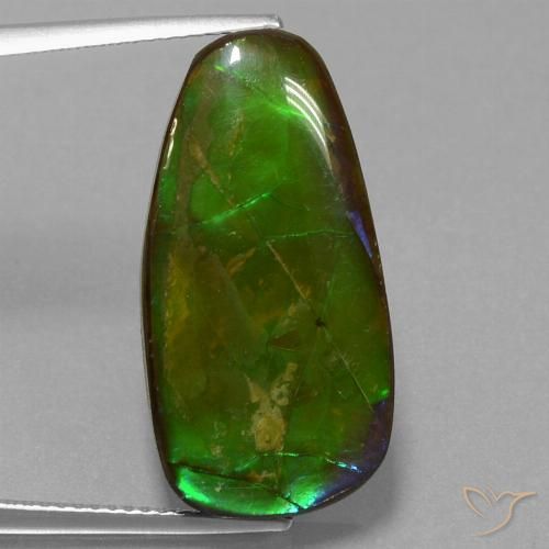 Ammolite Multicolore naturelle Fantaisie, 13.82 ct, Opaque