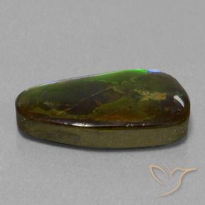 Ammolite Multicolore naturelle Fantaisie, 13.82 ct, Opaque