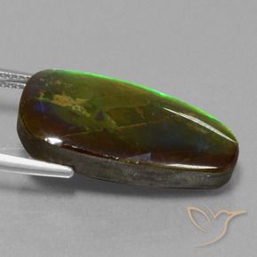 Ammolite Multicolore naturelle Fantaisie, 13.82 ct, Opaque