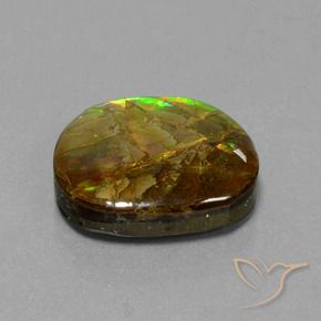 Ammolite Multicolore naturelle Fantaisie, 13.05 ct, Opaque