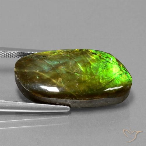 Ammolite Multicolore naturelle Fantaisie, 11.74 ct, Opaque